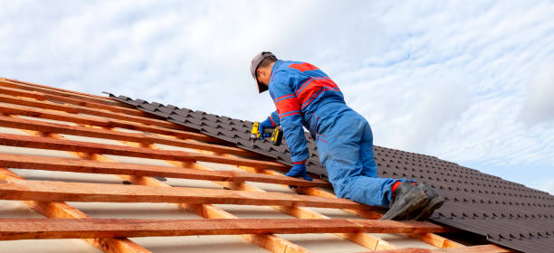 Best Asphalt Shingle Roofing  in Hybla Lley, VA